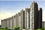 Ridge Residency - Apartment at Sector -135, Express way, Noida
